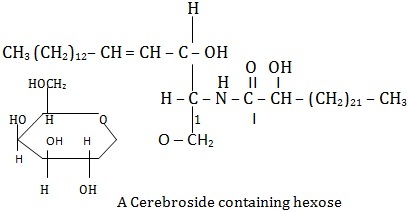 cerebroside containing hexose